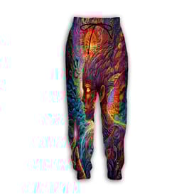Trippy Fairy Rave Pants - full front view on white background | Ravers Co