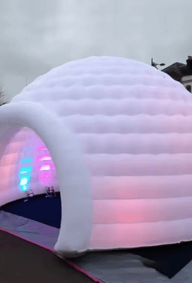 yH5BAEAAAAALAAAAAABAAEAAAIBRAA7 - 2