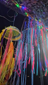 KB's Kuaotunu Psychedelic Jellyfish