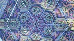 Canopy - 12