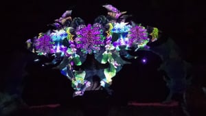 Lost in Paradise Stage 2025 - 11