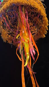 KB's Kuaotunu Psychedelic Golden Jellyfish