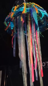 KB's Kuaotunu Jellyfish